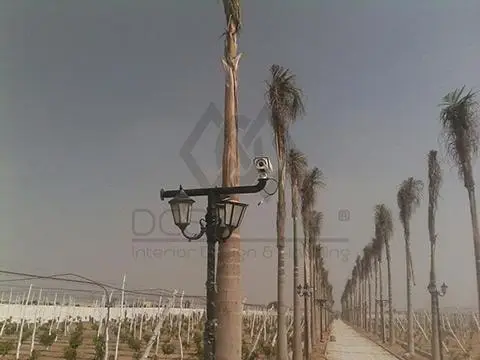 دي سي إس مصر للتشطيبات المعمارية